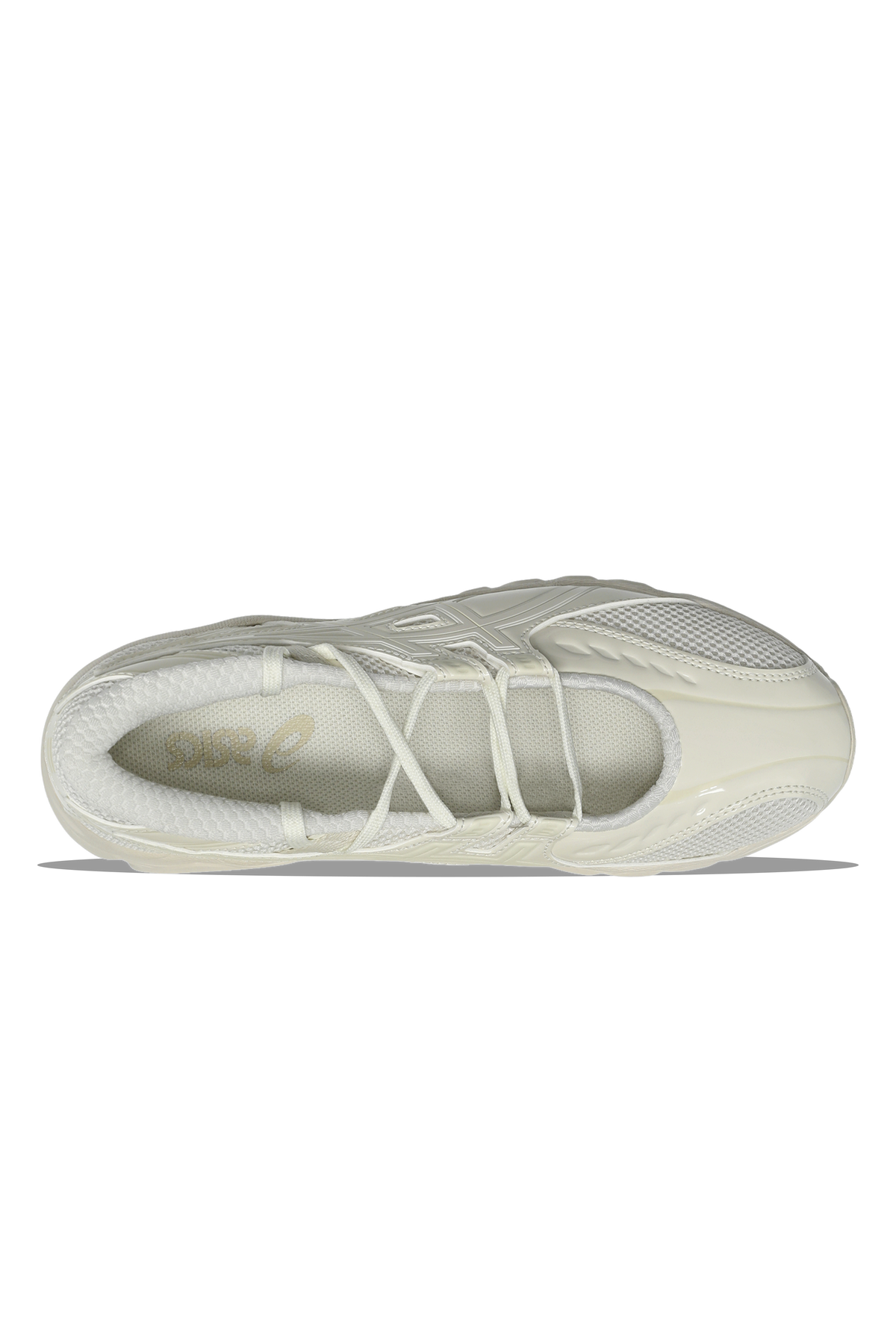 Gel-DS Trainer SP