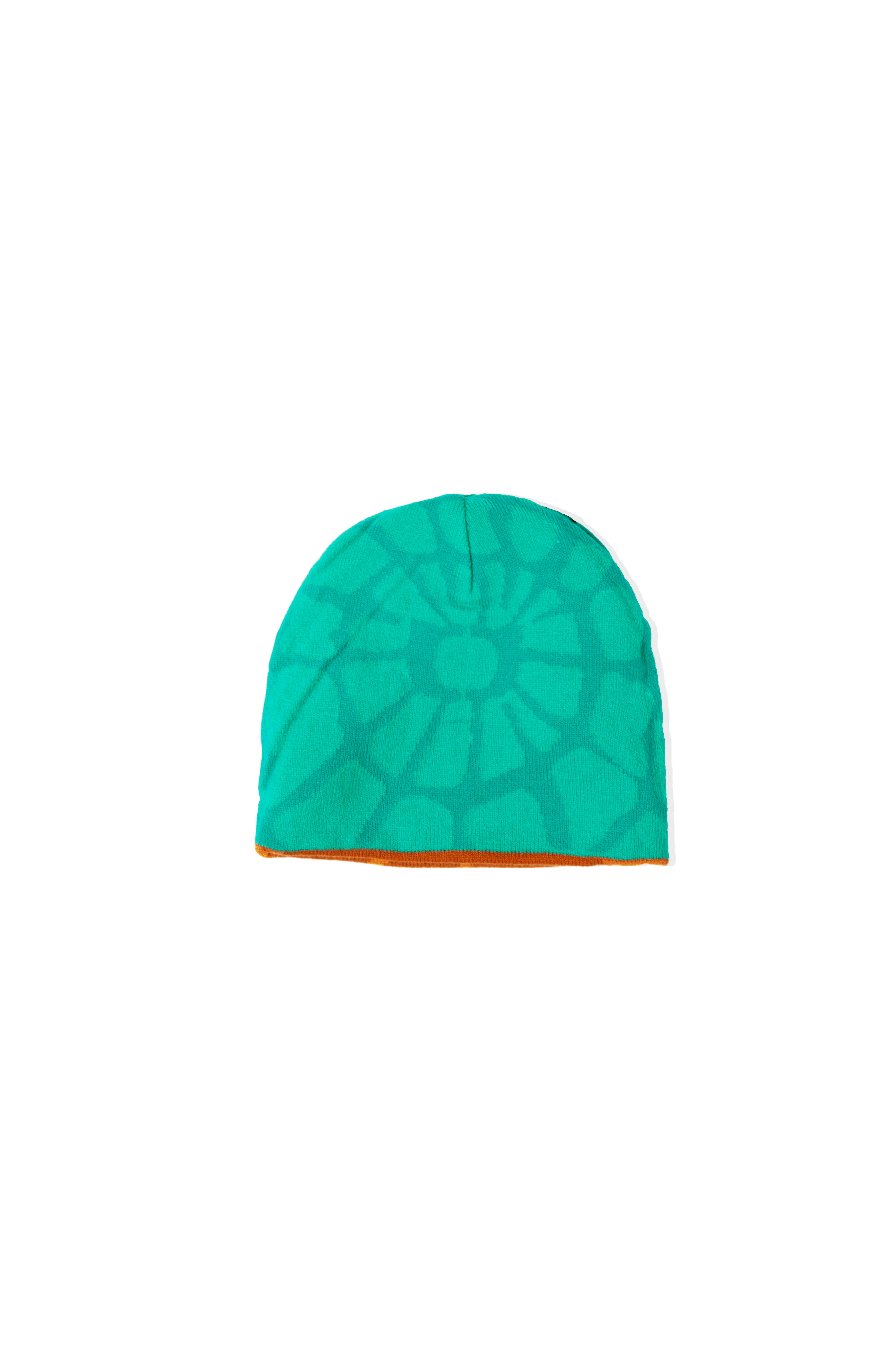 Spider Link Beanie