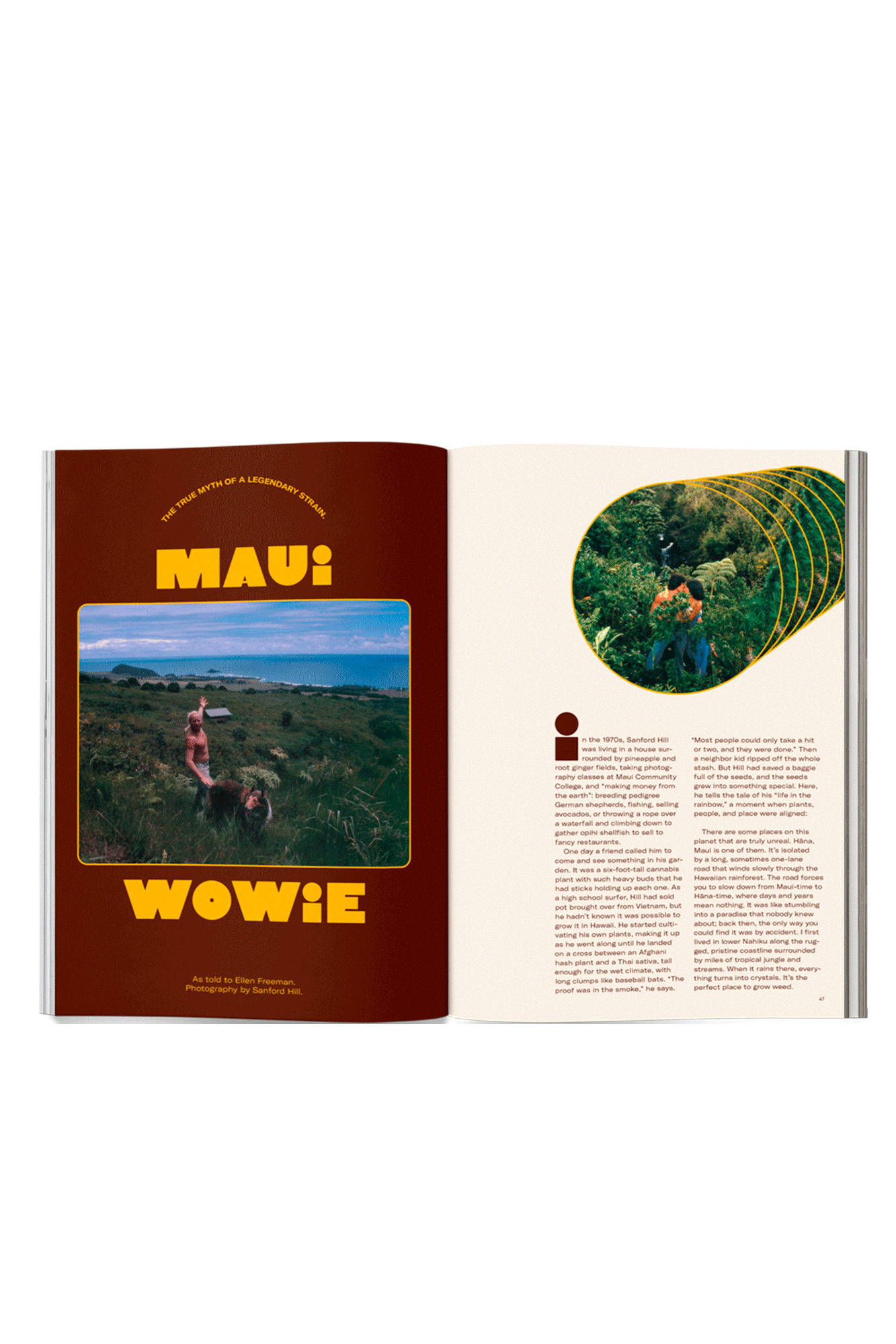Issue 15