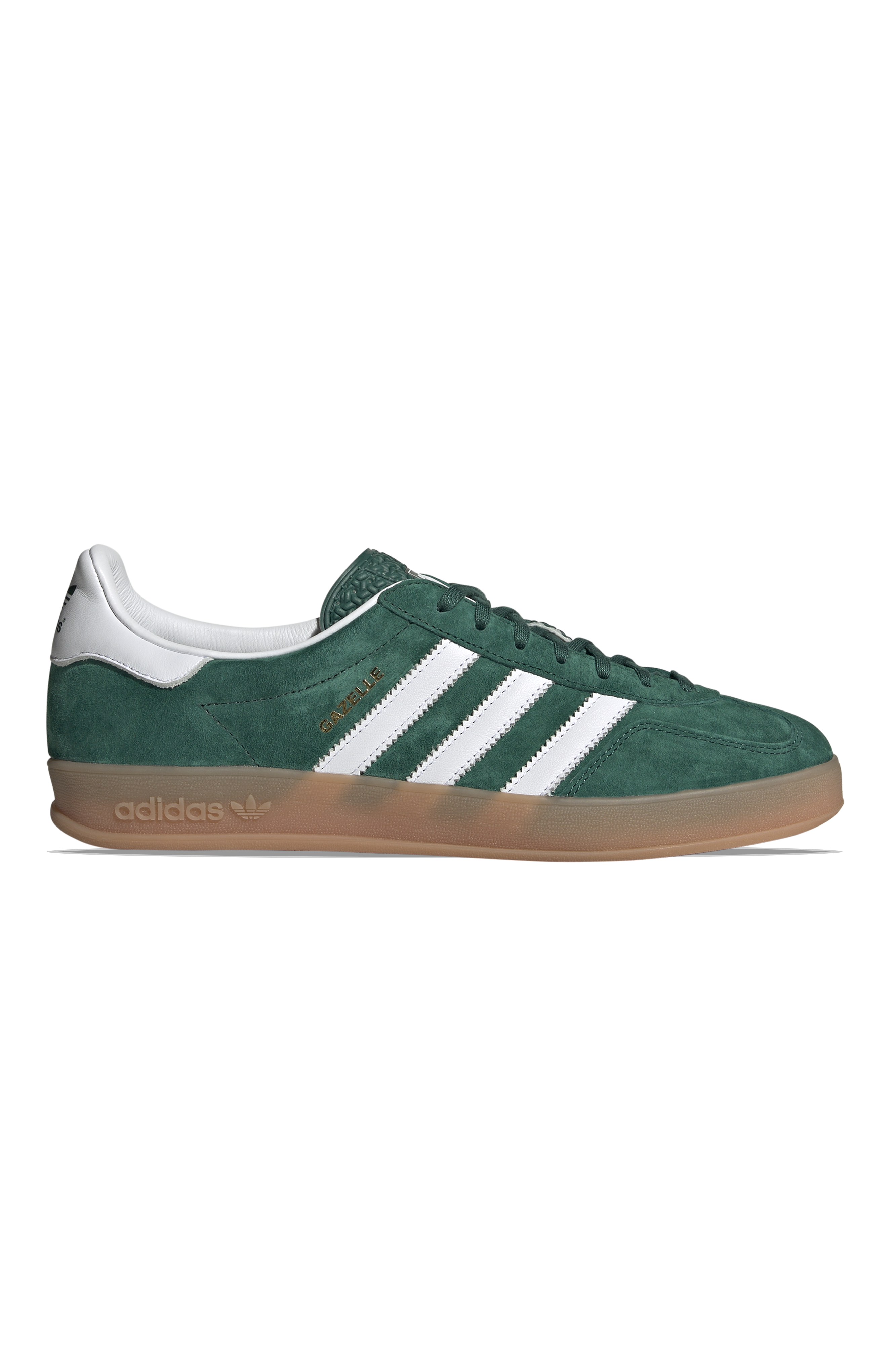 Gazelle Indoor