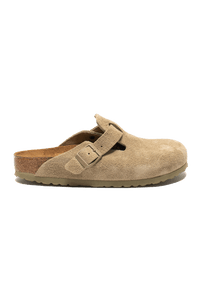 Boston Suede