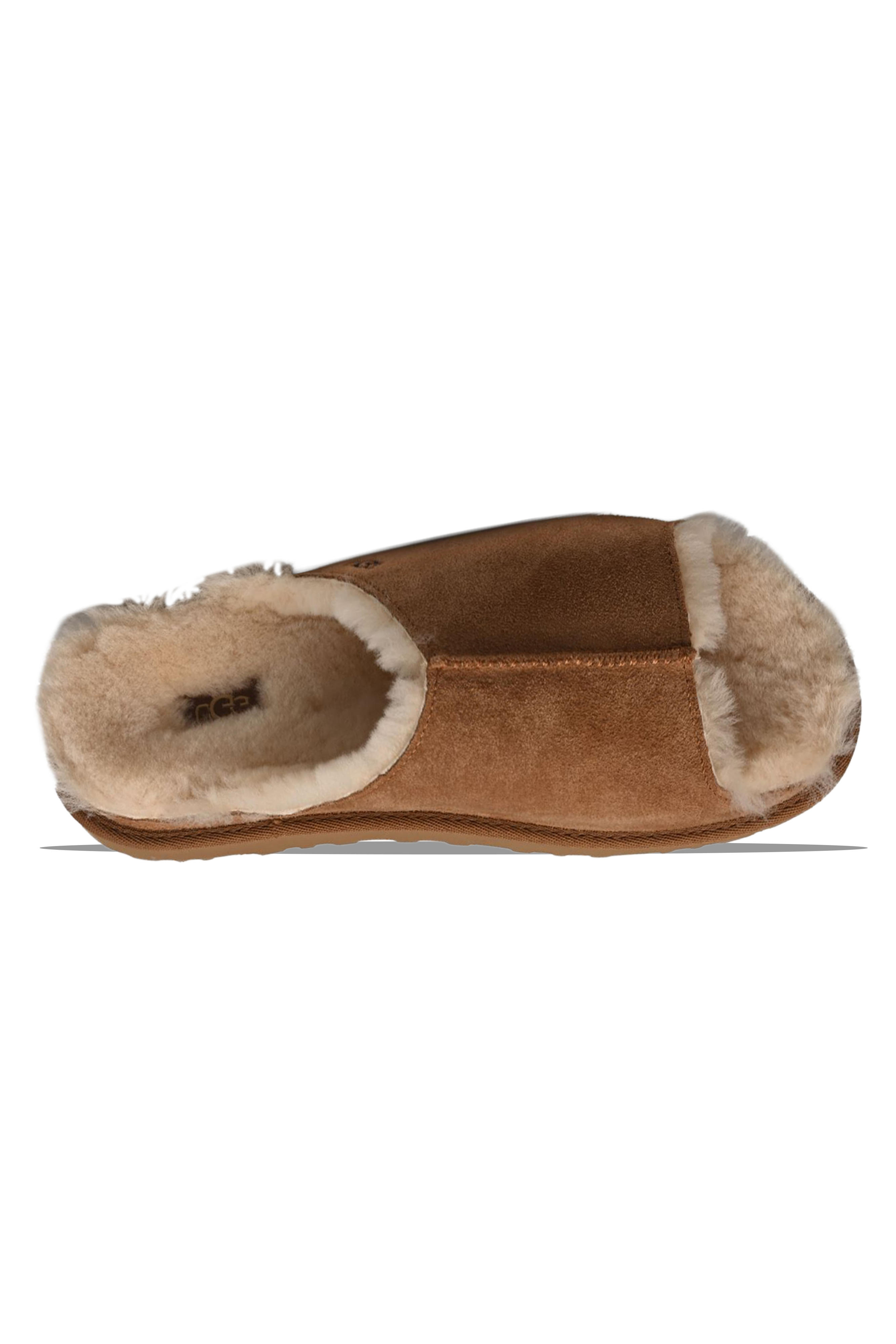 Woman Greenport Slide