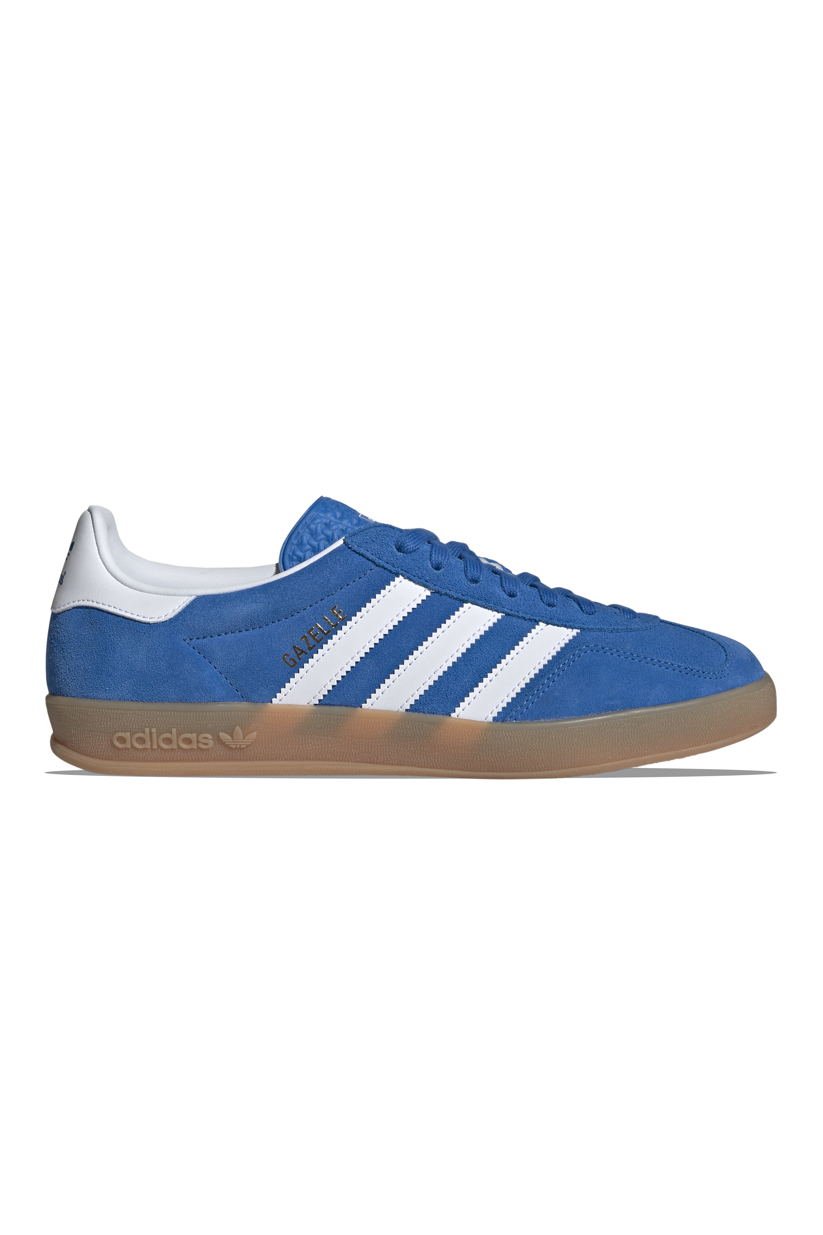 Gazelle Indoor