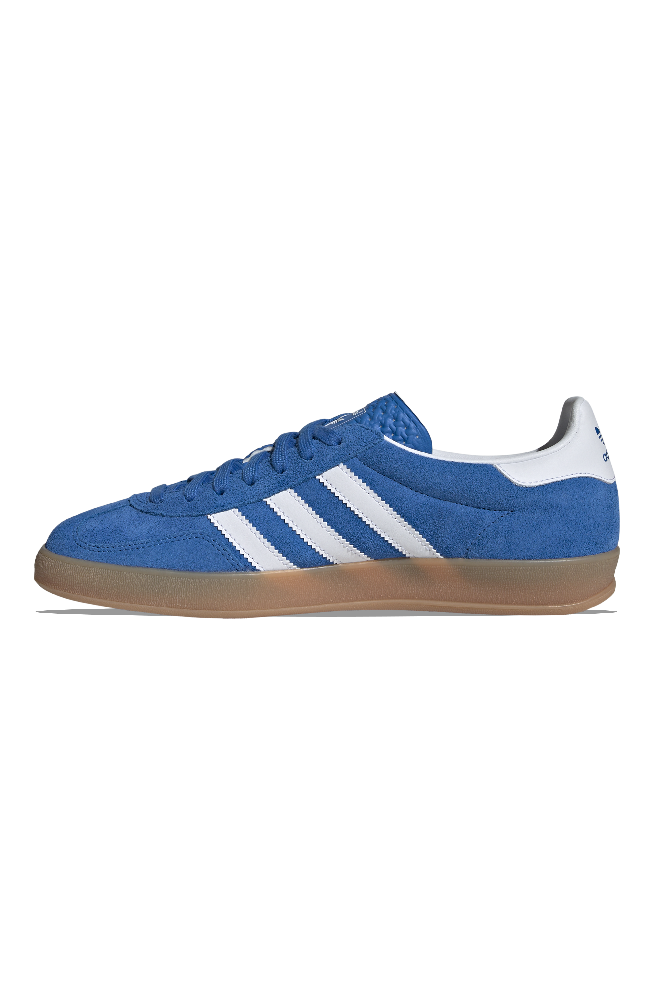 Gazelle Indoor