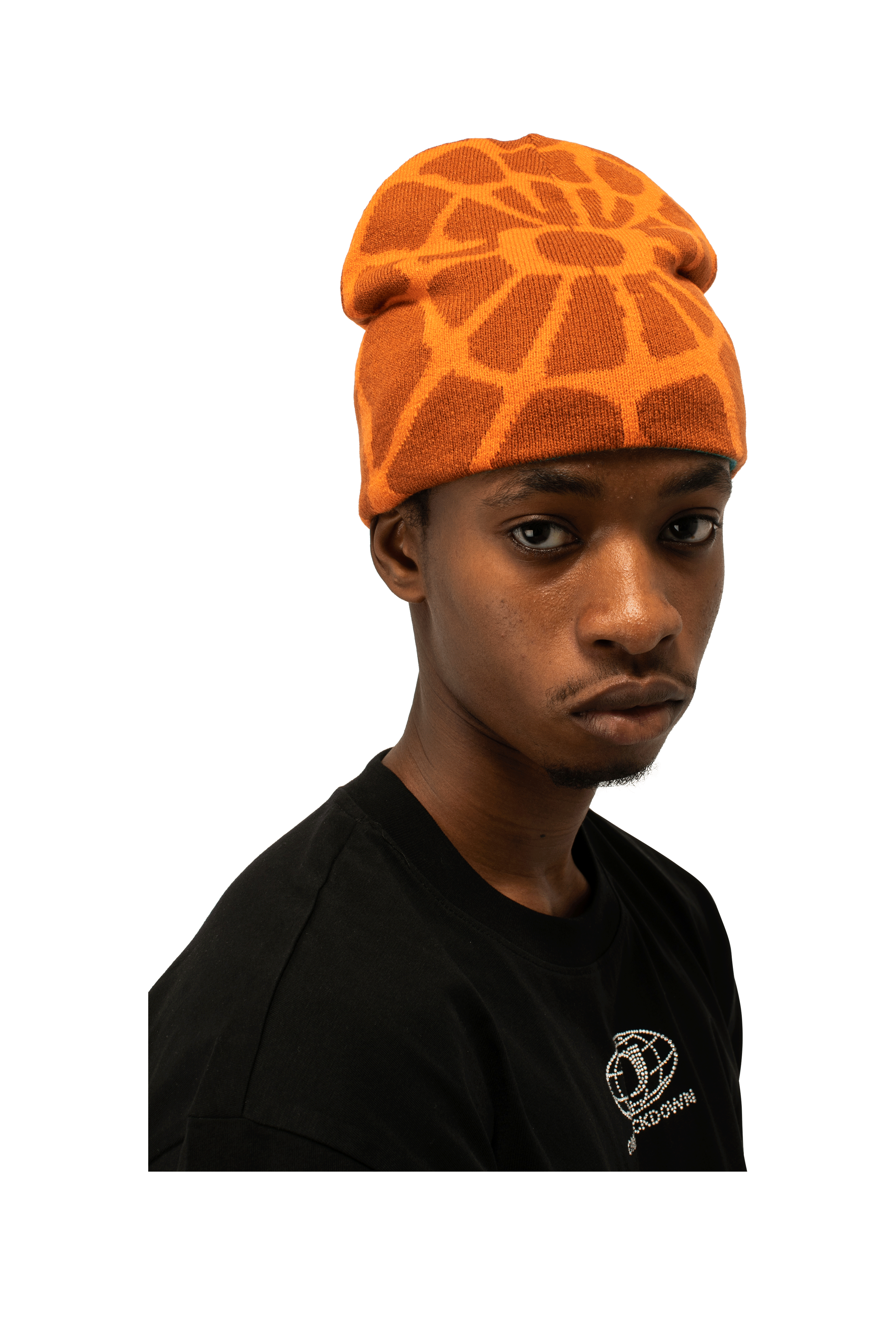 Spider Link Beanie