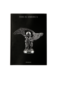 Volume 2 "This Is America"