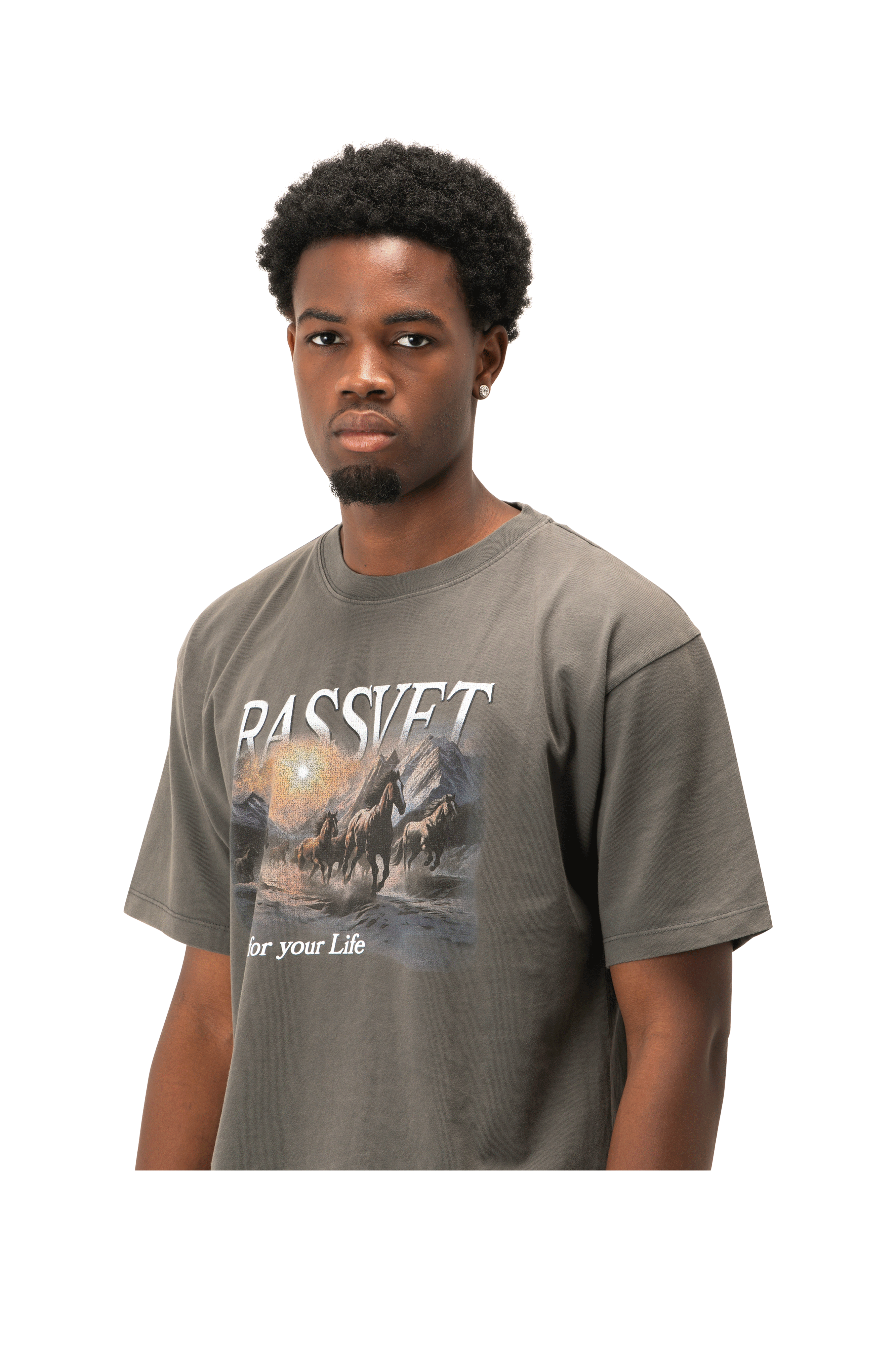 Horses Tee Shirt Knit