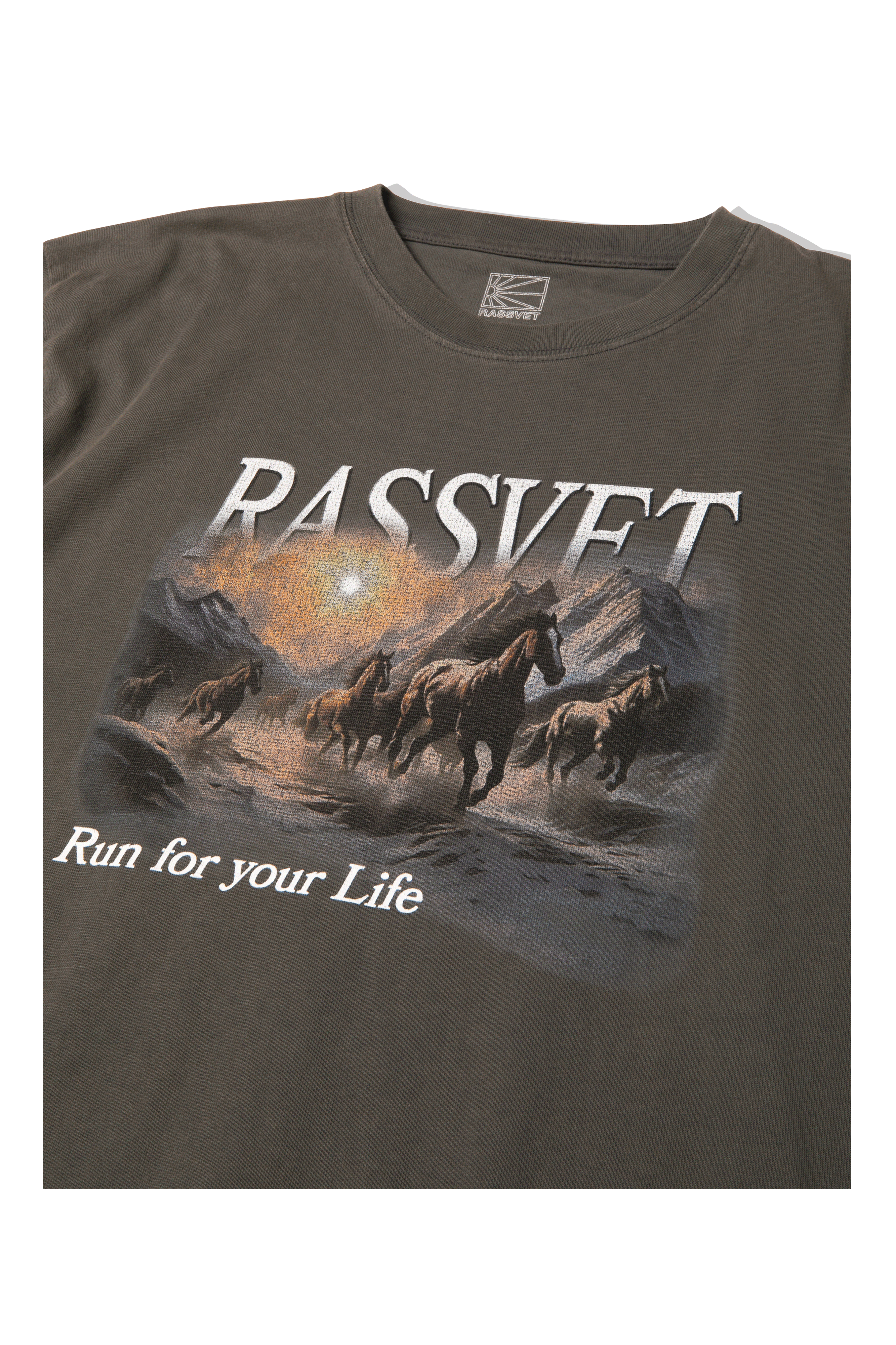 Horses Tee Shirt Knit