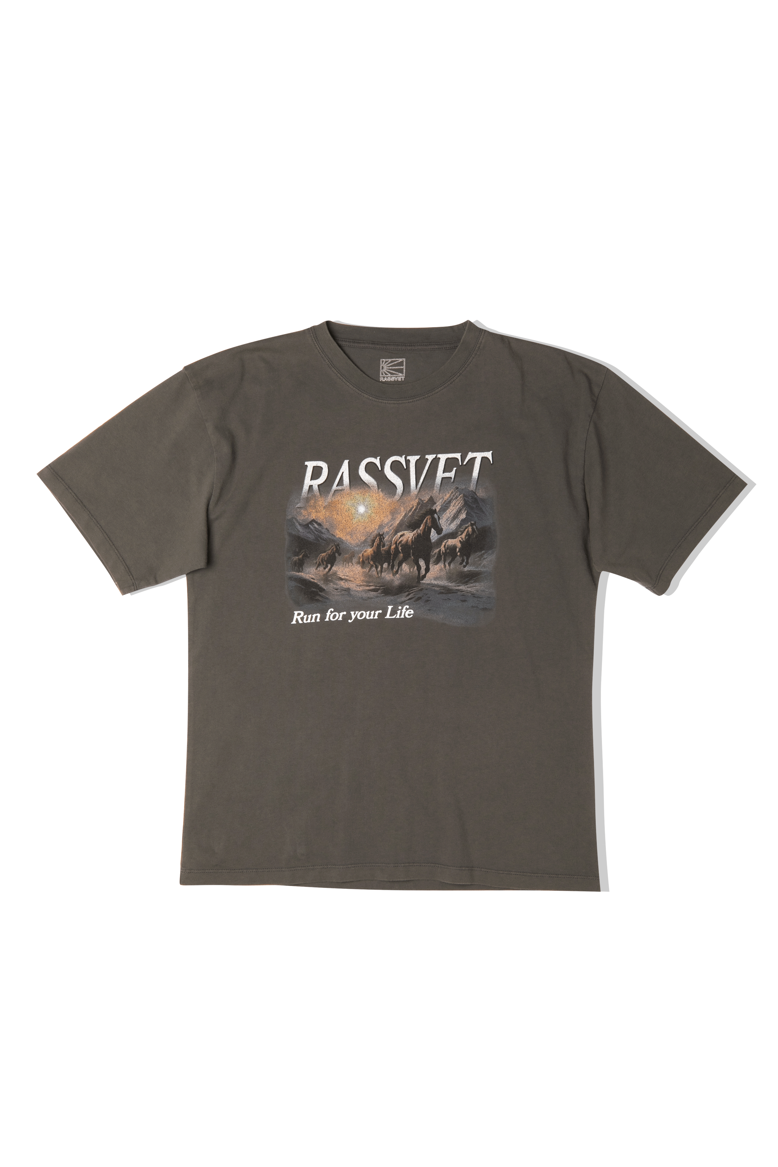 Horses Tee Shirt Knit