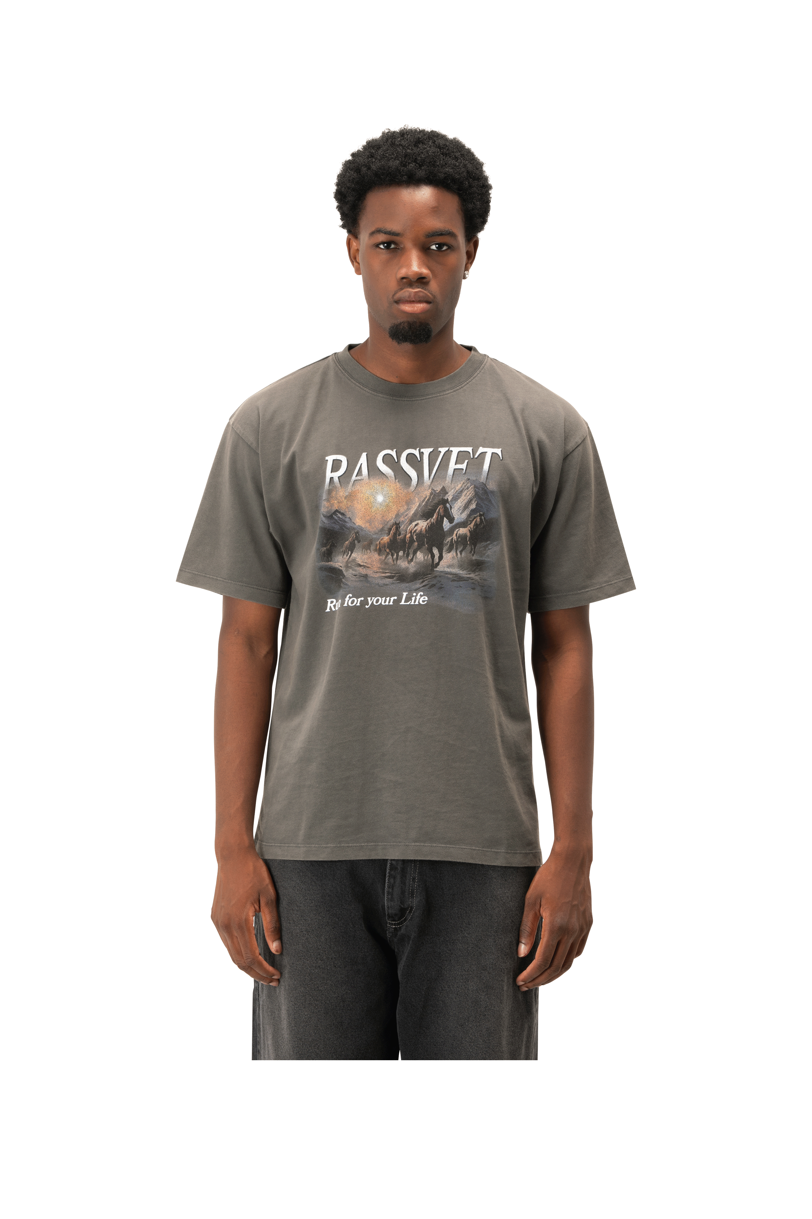 Horses Tee Shirt Knit