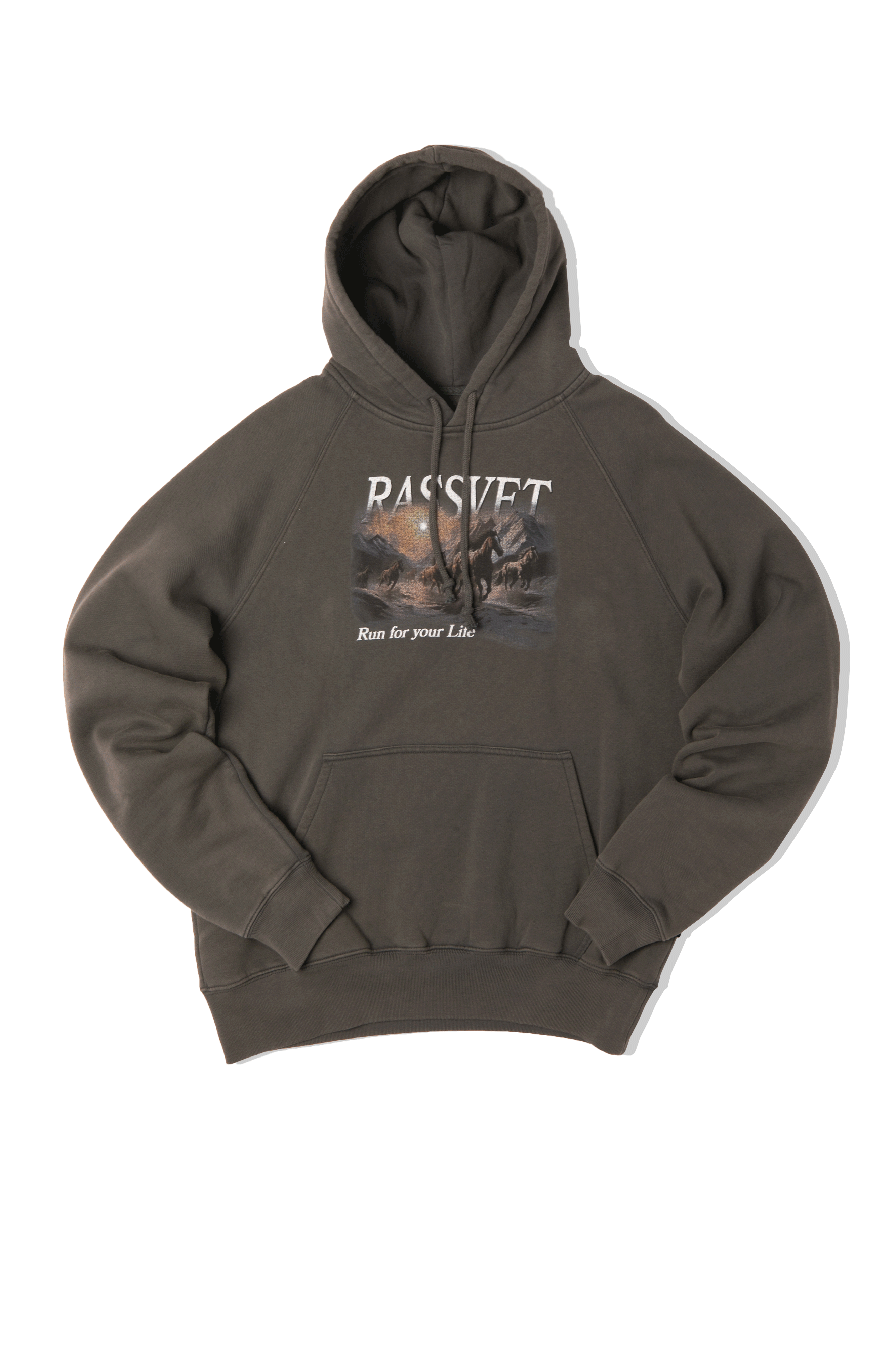 Horses Raglan Hoodie Knit