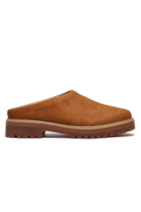 Clog Shoe