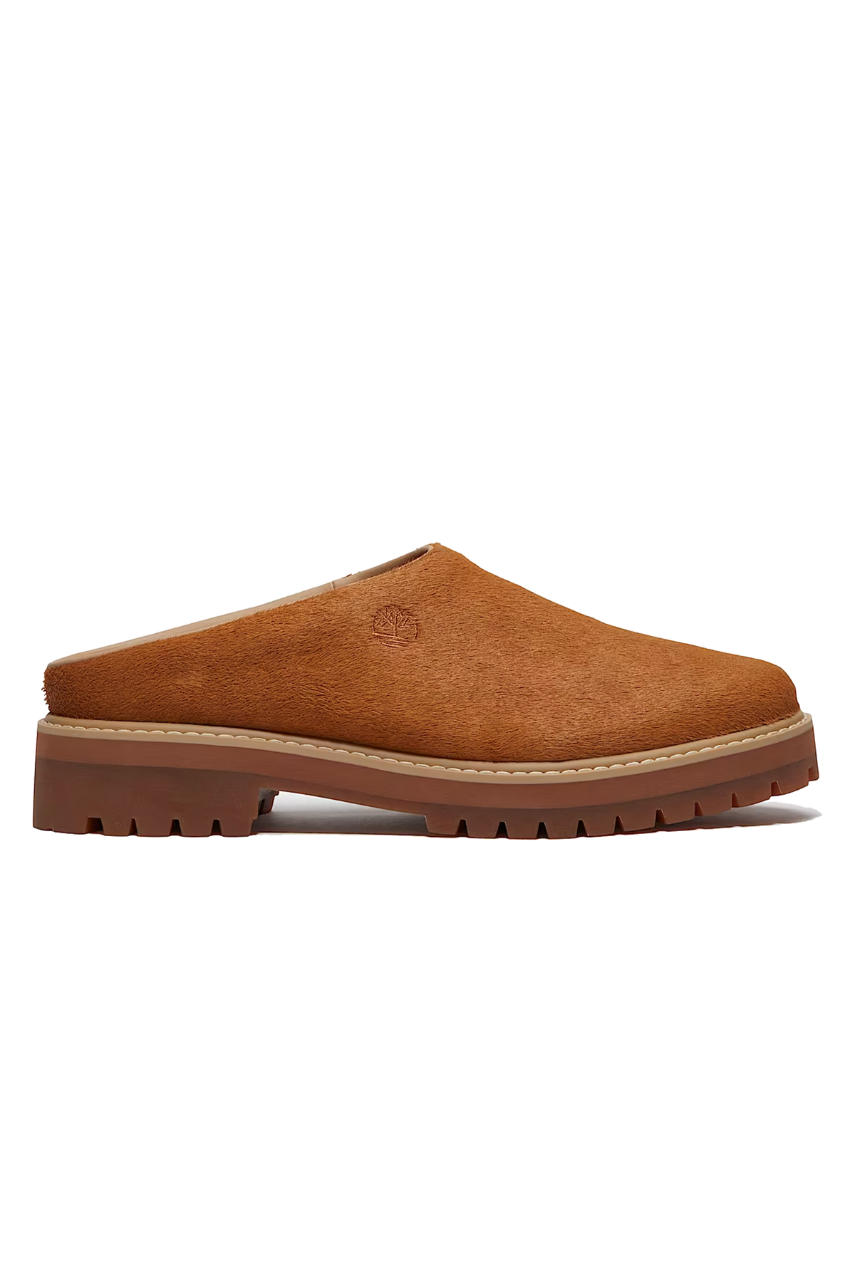 Clog Shoe