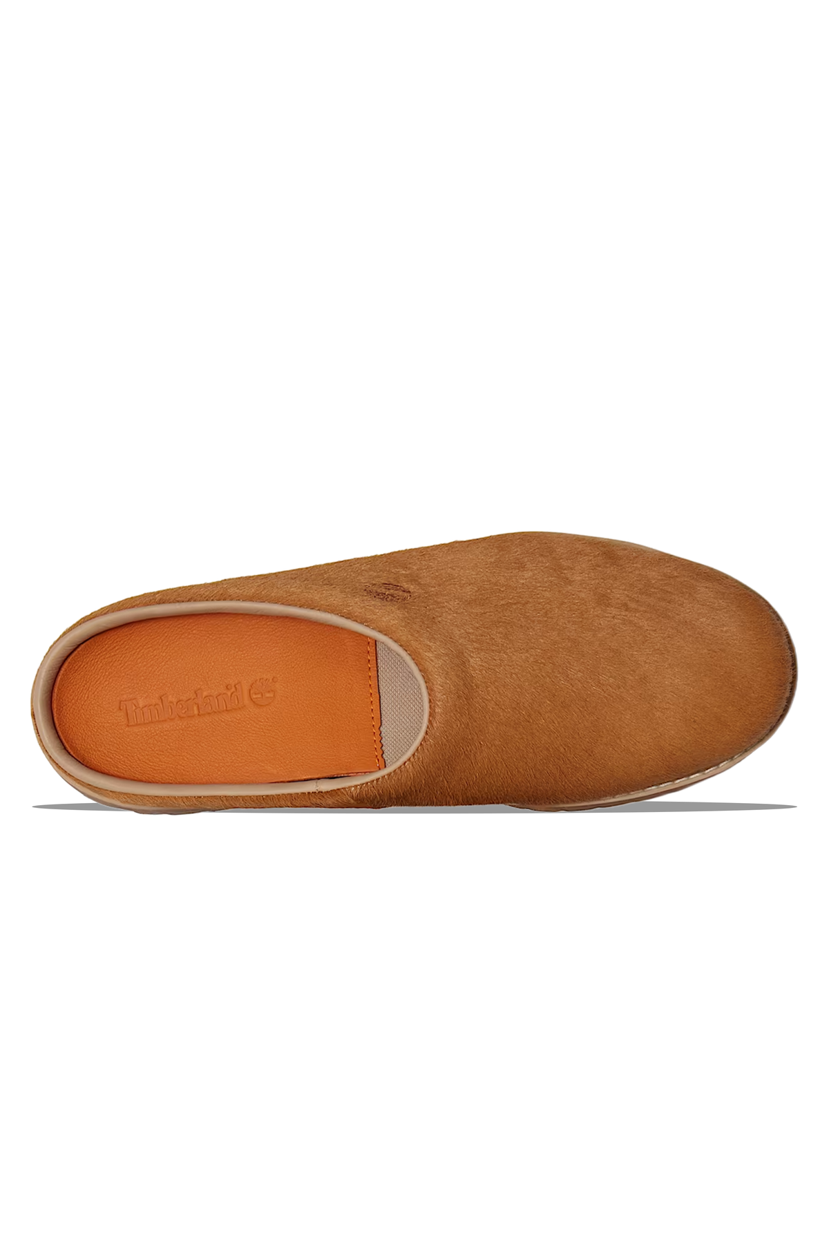 Clog Shoe