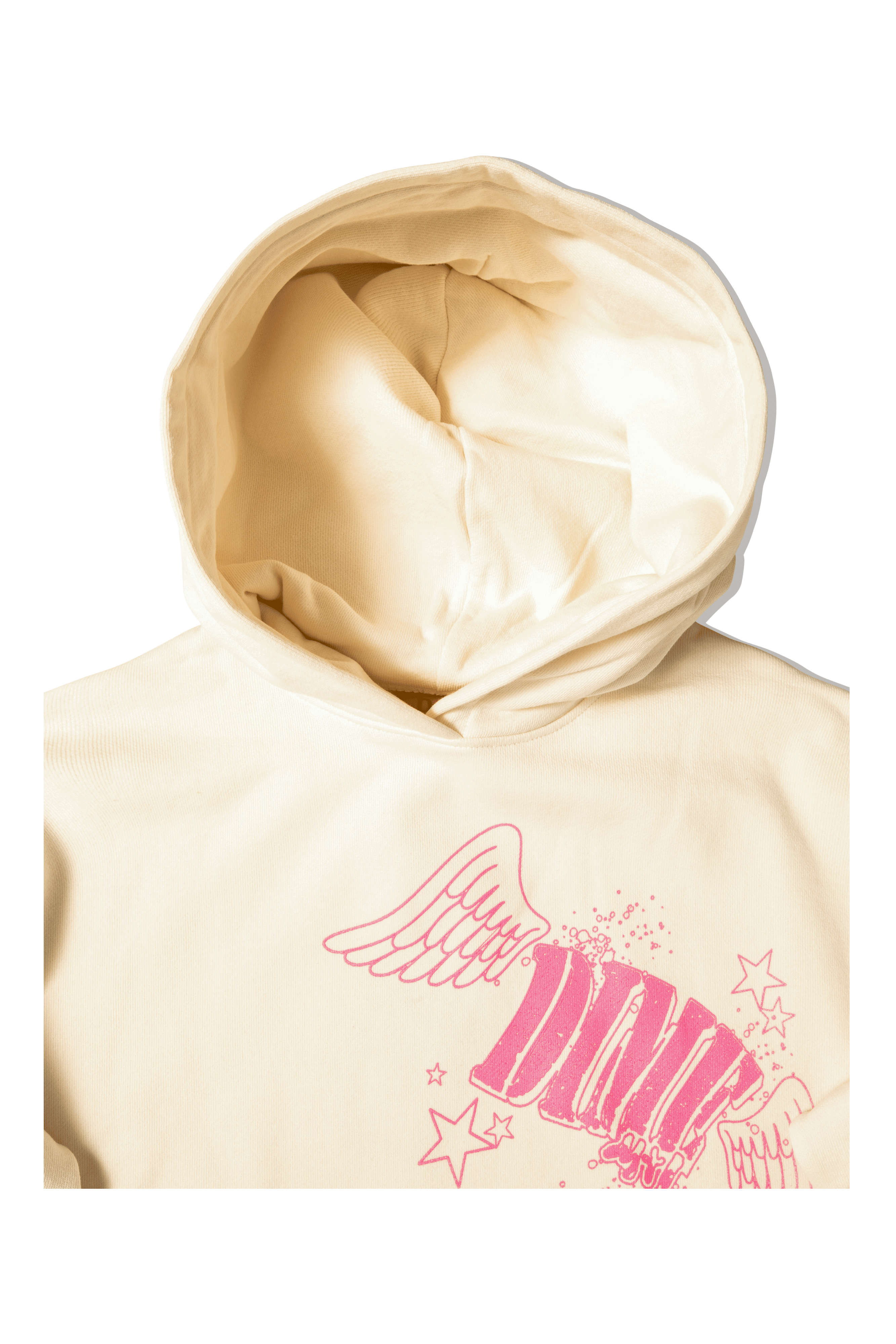 Wings Hooded Sweatshirt