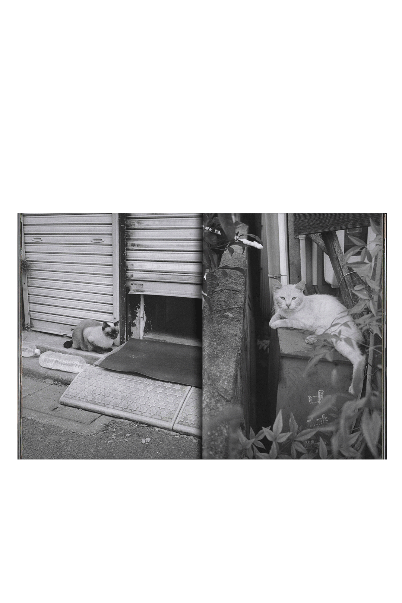 Sly Morikawa: 24/7 Paradise 2nd edition