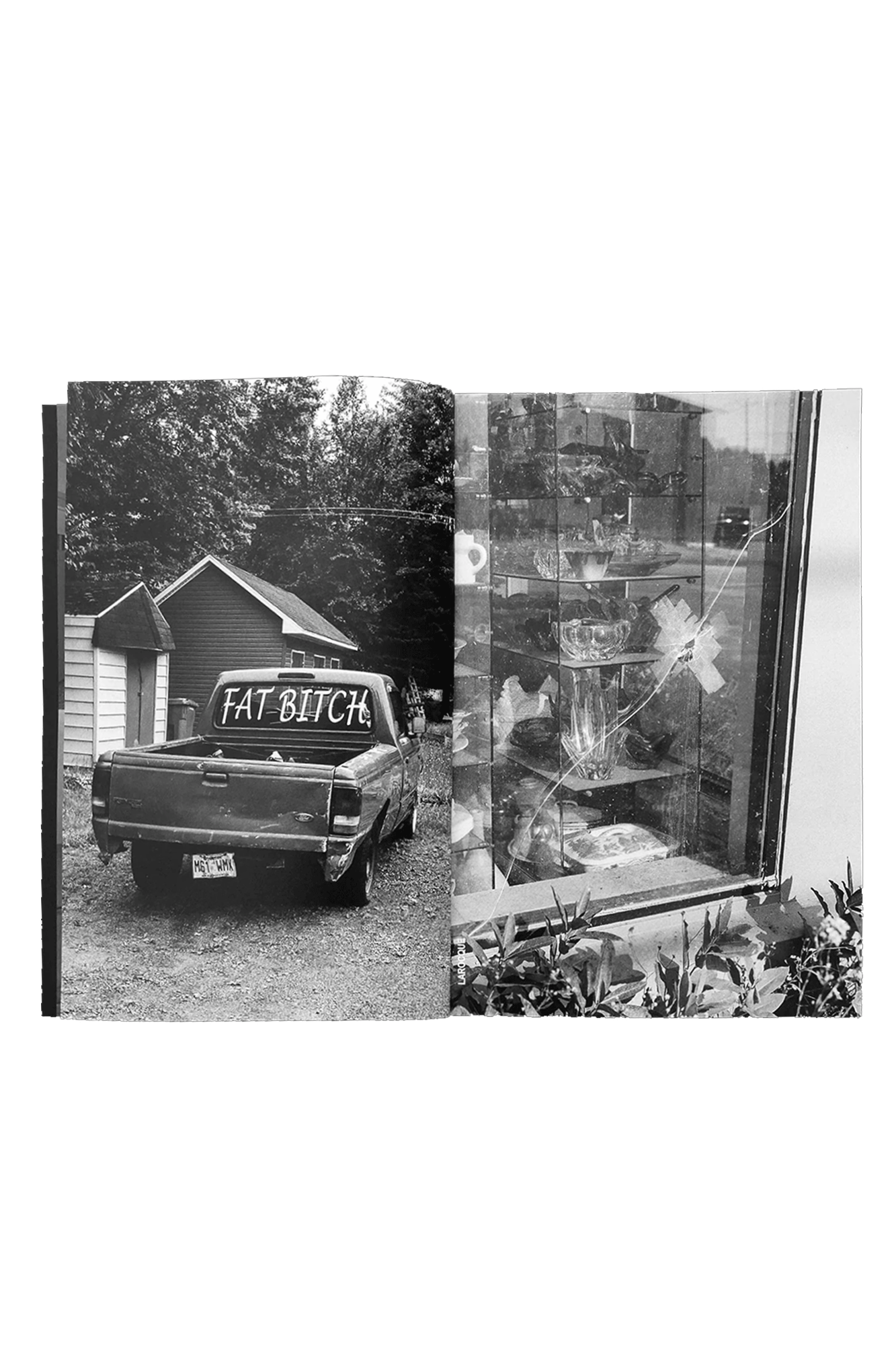 The Continuing Story of Life on Earth