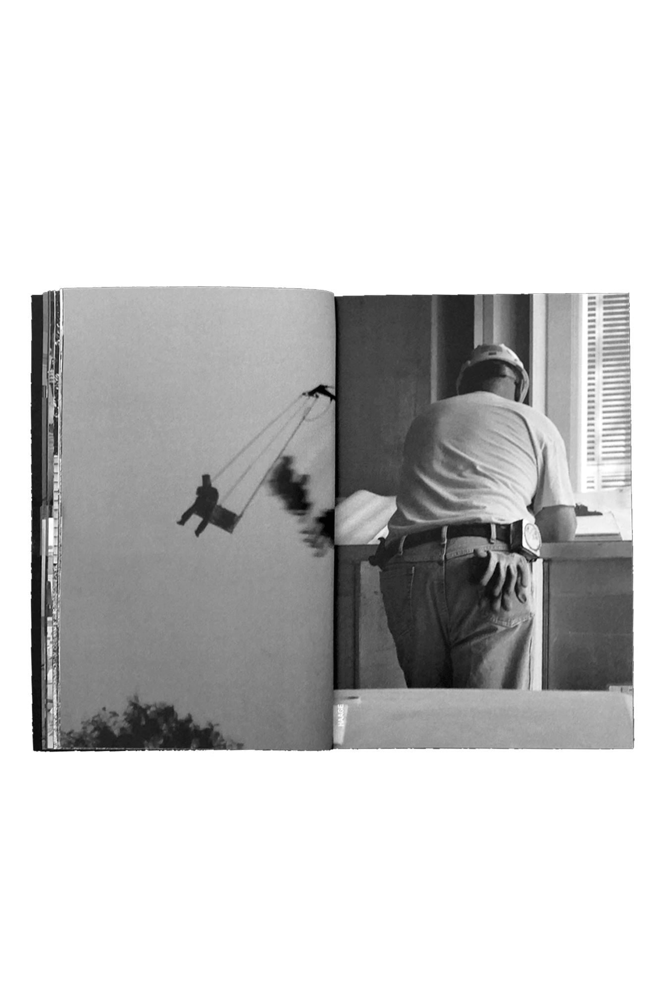 The Continuing Story of Life on Earth