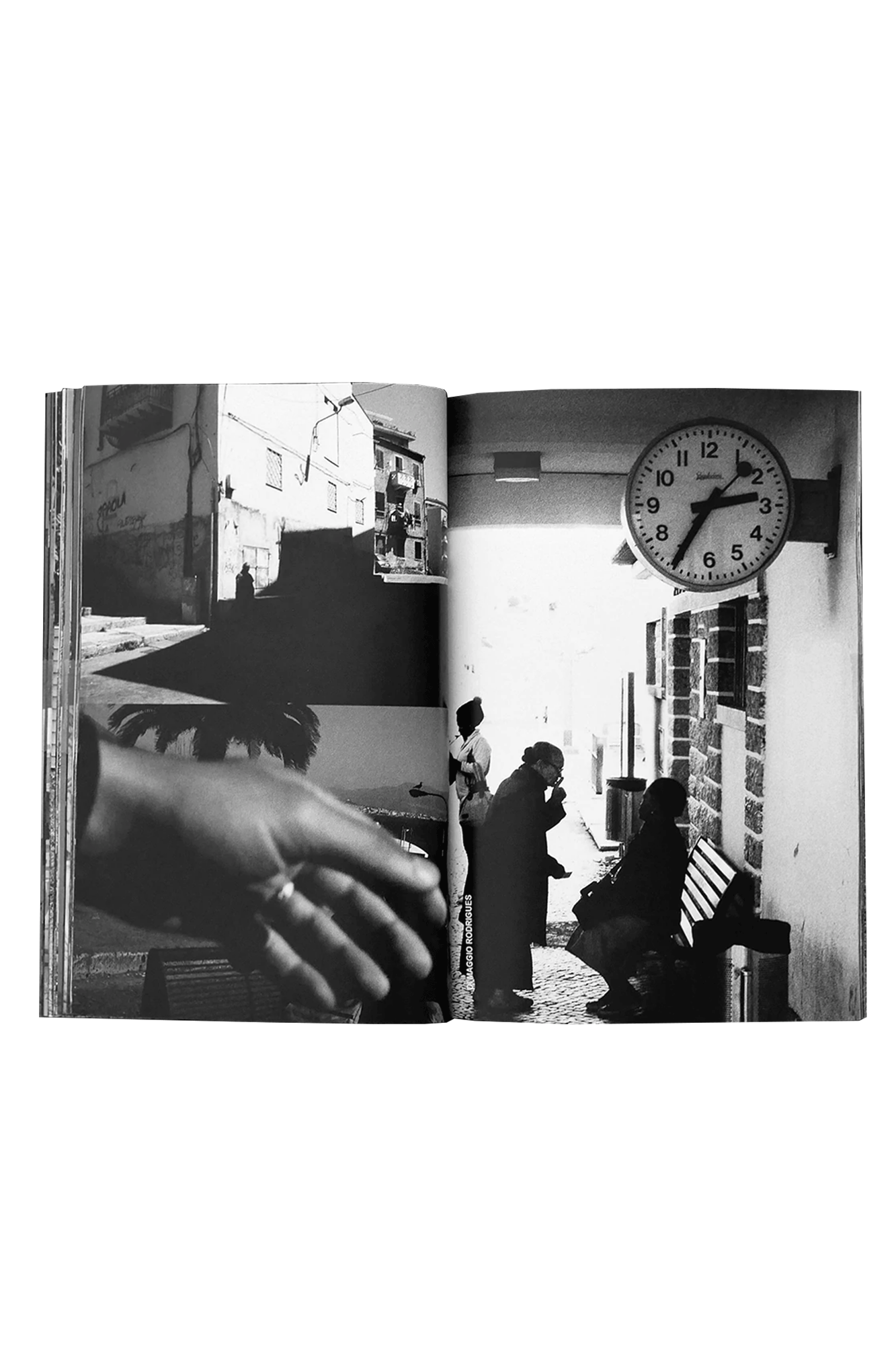 The Continuing Story of Life on Earth