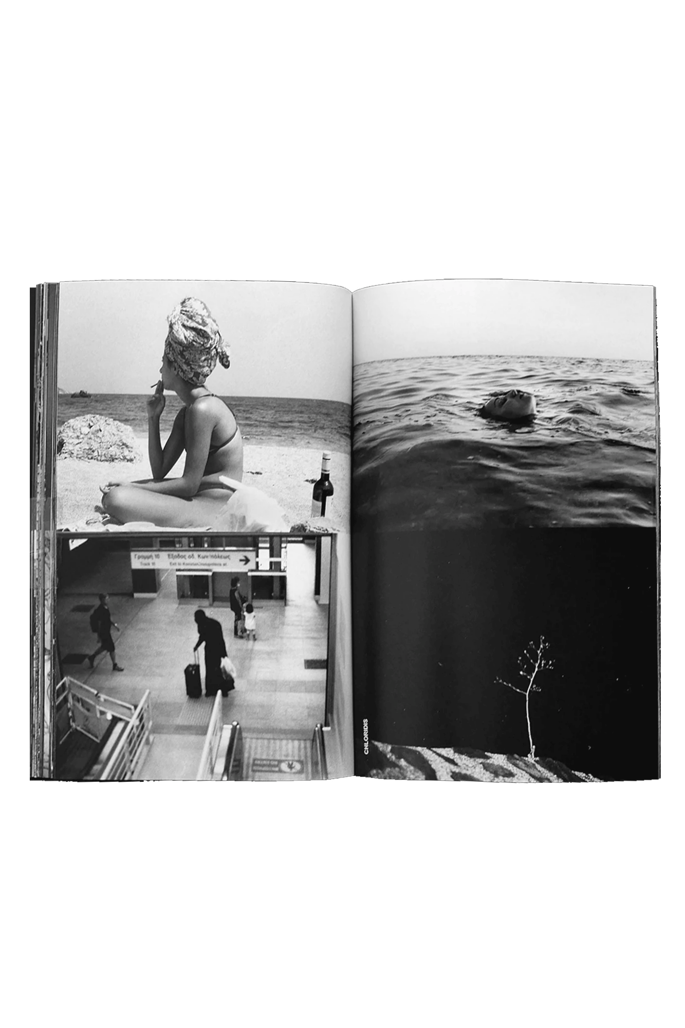 The Continuing Story of Life on Earth