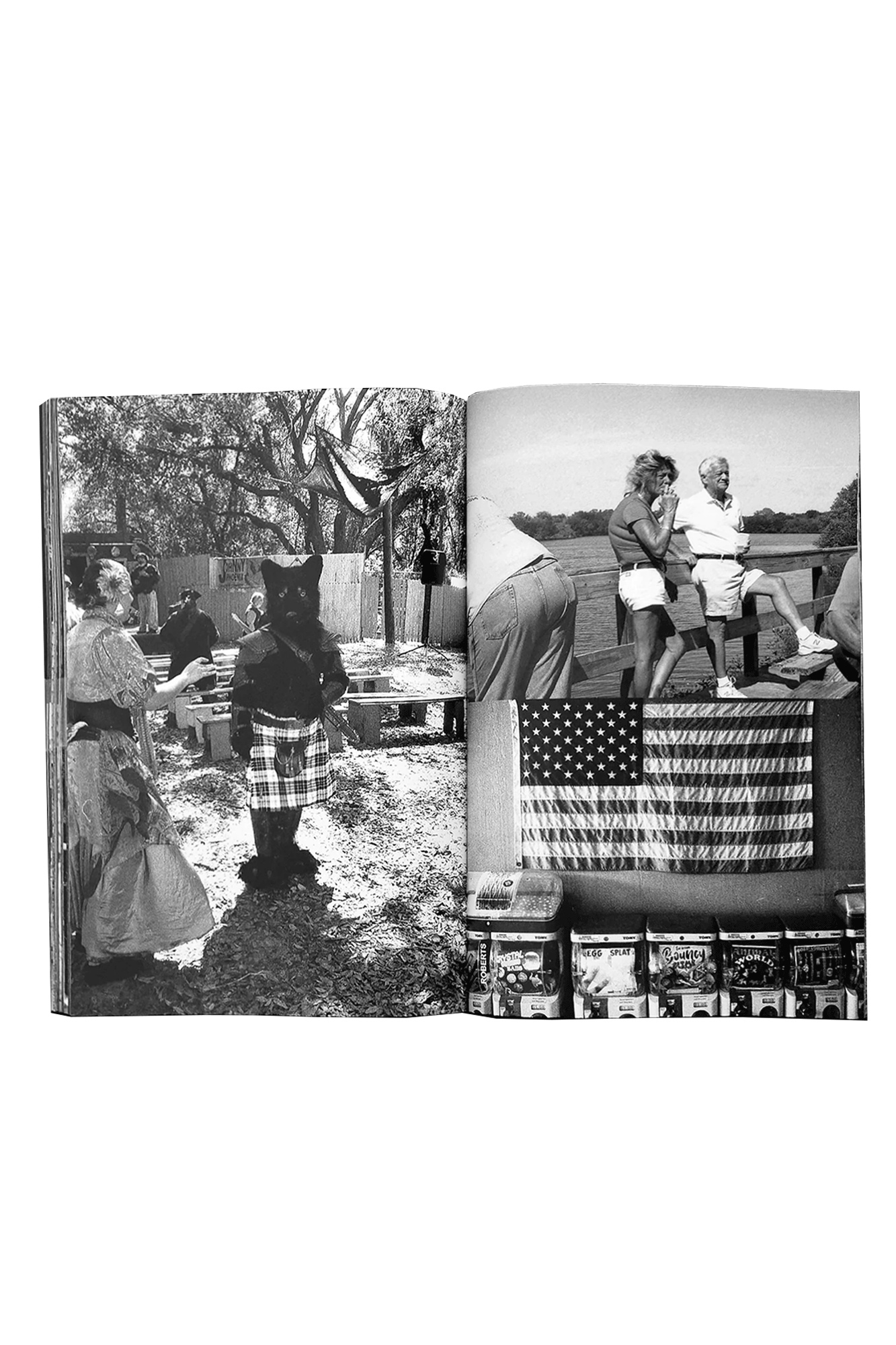 The Continuing Story of Life on Earth