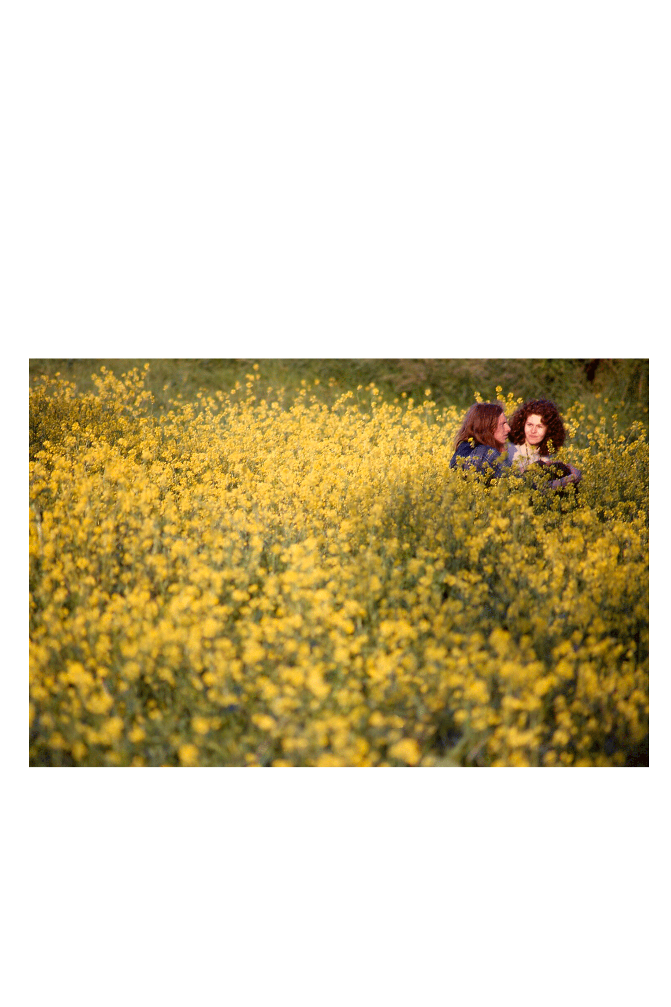 In The Vale Of Avalon: Glastonbury Festival 1971