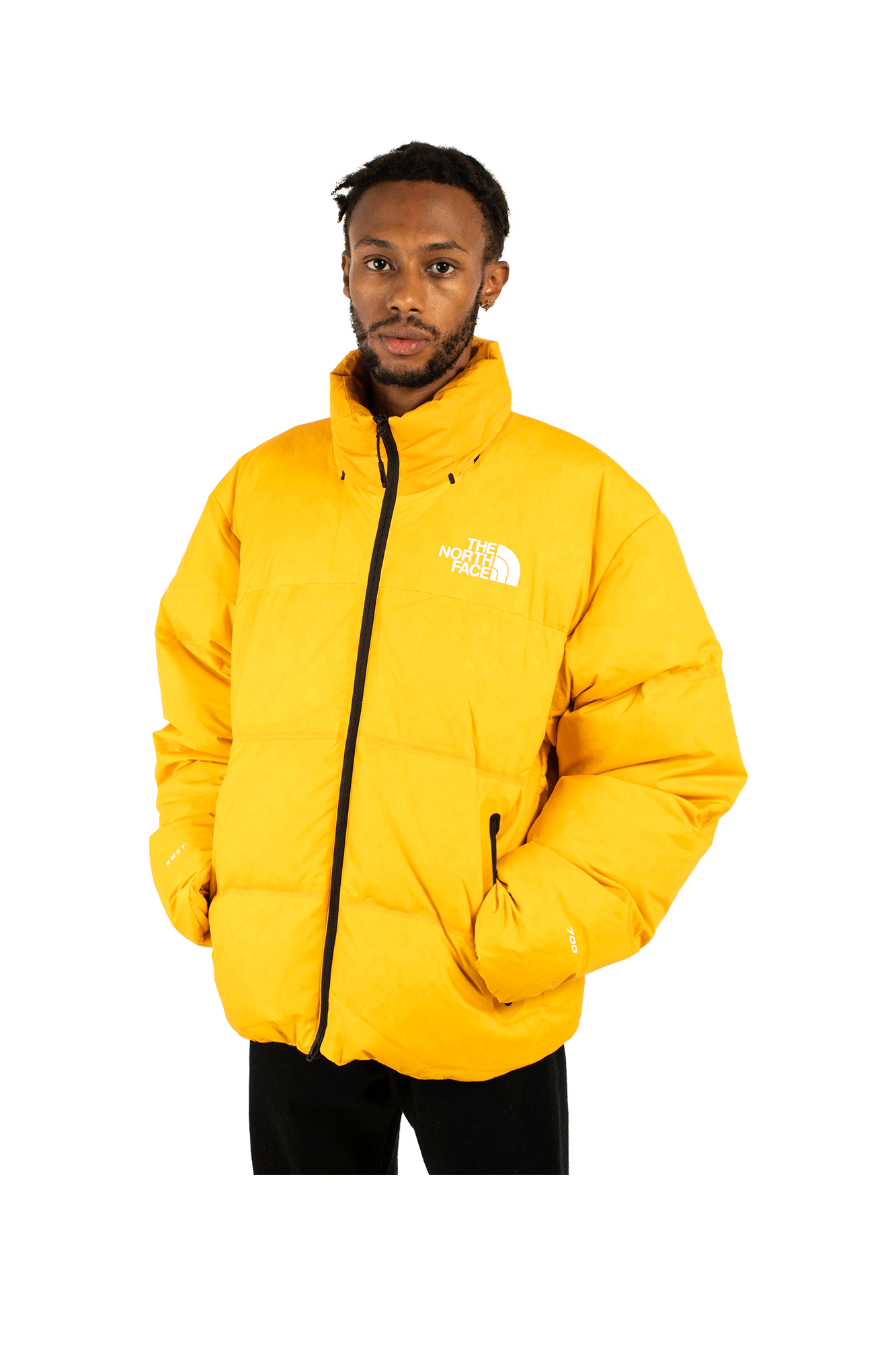 Remastered Nuptse Jacket