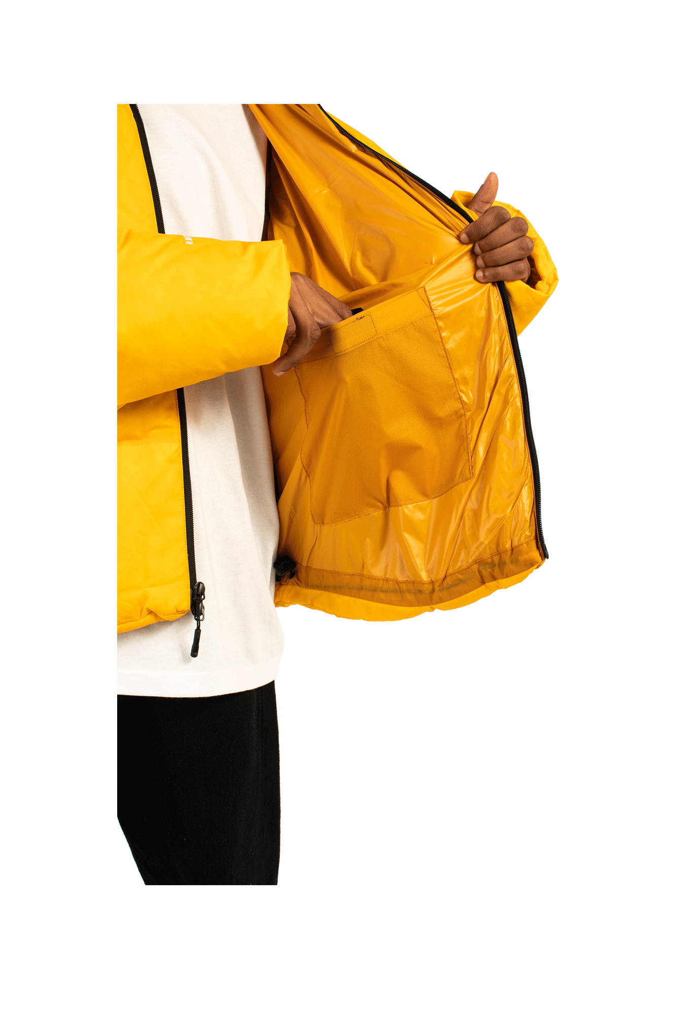 Nuptse Jacket Remastered